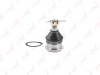 Опора шаровая Almera N16 (00-06)/Maxima (99-06)/Primera P12 (02-07) пер ниж (арт. C1258LR)