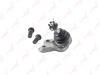 Опора шаровая Corolla 120 (01-06)/Corolla 100 (91-97)/Corolla 110 (97-01)/Rav 4 (00-05) пер (арт. C1062LR)