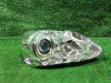 Линза фары Mazda 3 BL (09-13) R б/у  (арт. Mazda)