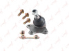 Опора шаровая Polo 4 (01-09)/Fabia (99-07)/ R ниж (арт. C1092R)