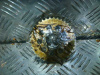 Шестерня коленвала Celica (99-05)\Avensis (03-08) 1ZZ б\у (арт. 1931522020)