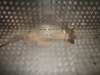 Рейка рулевая Tiguan (07-16) с электроусилителем не рабочий мотор б\у (арт. 5N1423105H)