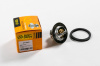 Термостат Logan/Megane/Clio/Duster/Symbol/Sandero/Largus/Almera G15 89°C (арт. JPT0009)