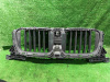 Решетка радиатора BMW X3 G01 (17-) USA (арт. 51745A1DA48)