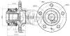 Ступица Fabia (10-)/Rapid (12-)/Polo (09-) пер (с ABS) (арт. JEH0056)