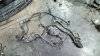 Электропроводка Corolla 150 (06-13) двигателя 1ZRFE 1.6  б\у (арт. 8212112D60)