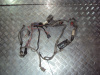 Электропроводка двигателя Astra G (98-04)/Viva (04-08)/Zafira A Z18XE Б\У (арт. 13110706)