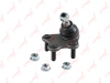 Опора шаровая Polo 5 (09-15)/Fabia (07-14)/Rapid (12-) нижний R (арт. C1254R)